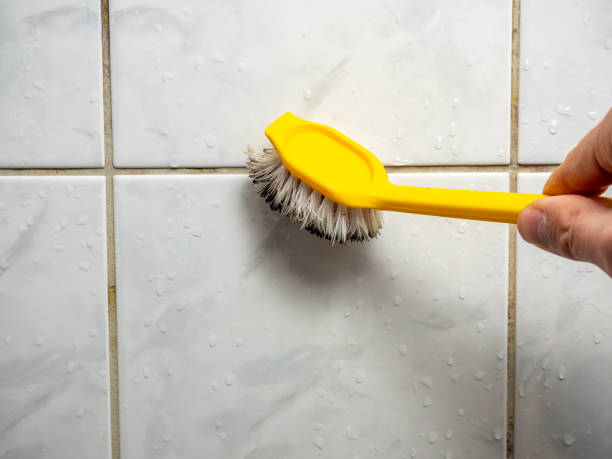 Best Best Mold Removal Companies  in Shawnee Hills, OH