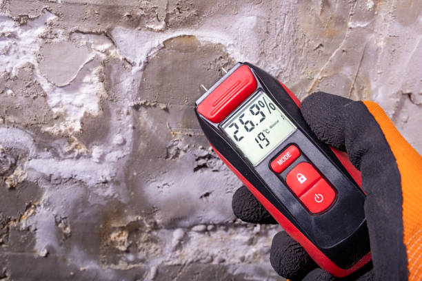 Best Residential Mold Removal  in Shawnee Hills, OH
