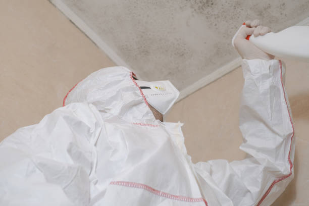 Mold Testing and Removal in Shawnee Hills, OH